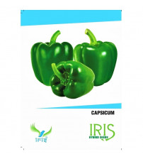 Iris F1 Green Capsicum 15 Seeds